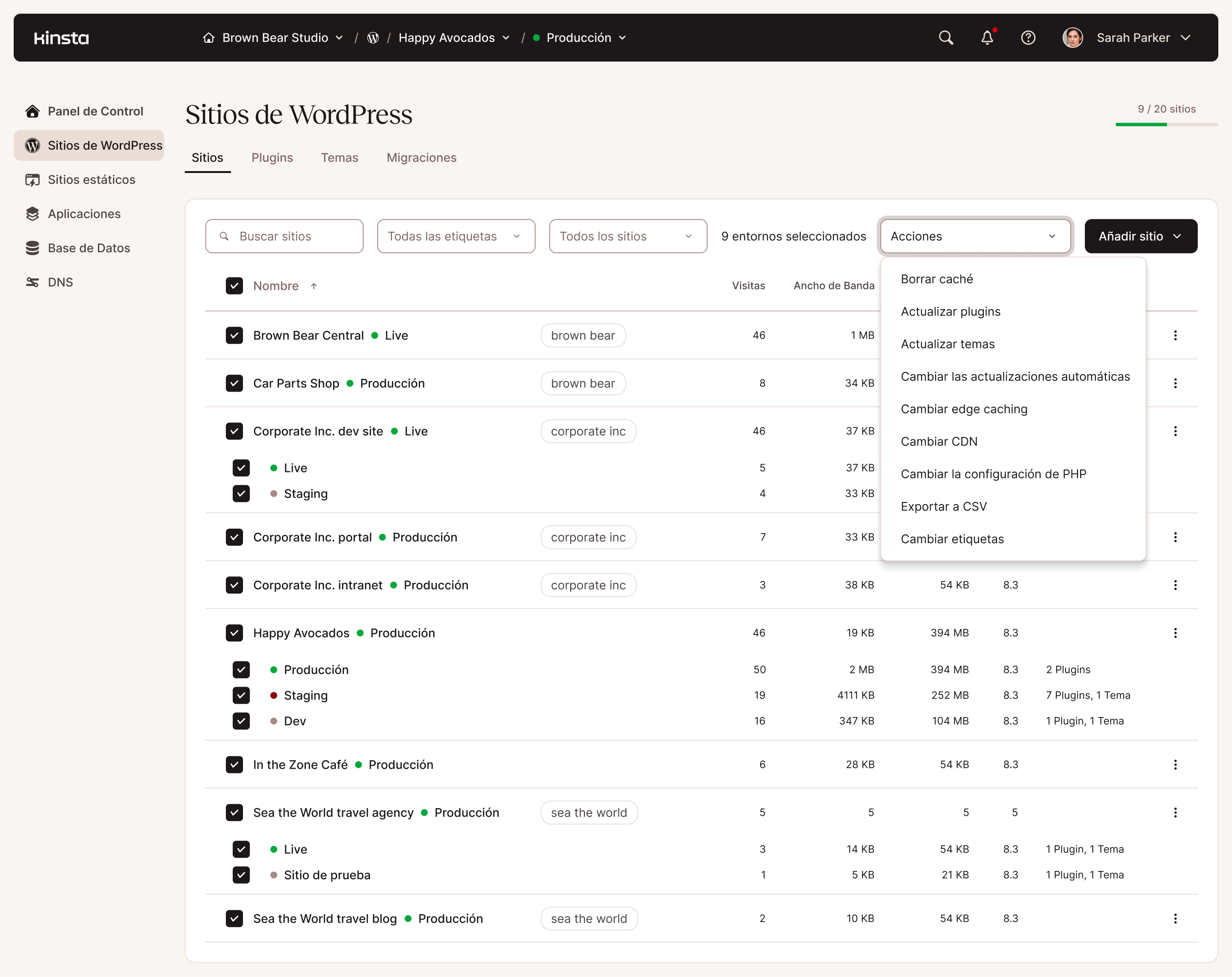 Acciones en lote en la administración de sitios web de WordPress